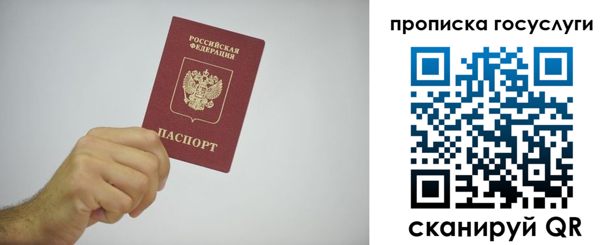 прописка законно в Волгограде